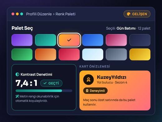 Profil düzenleme ekranında renk paleti seçimi ve kontrast denetiminin önizlemesi